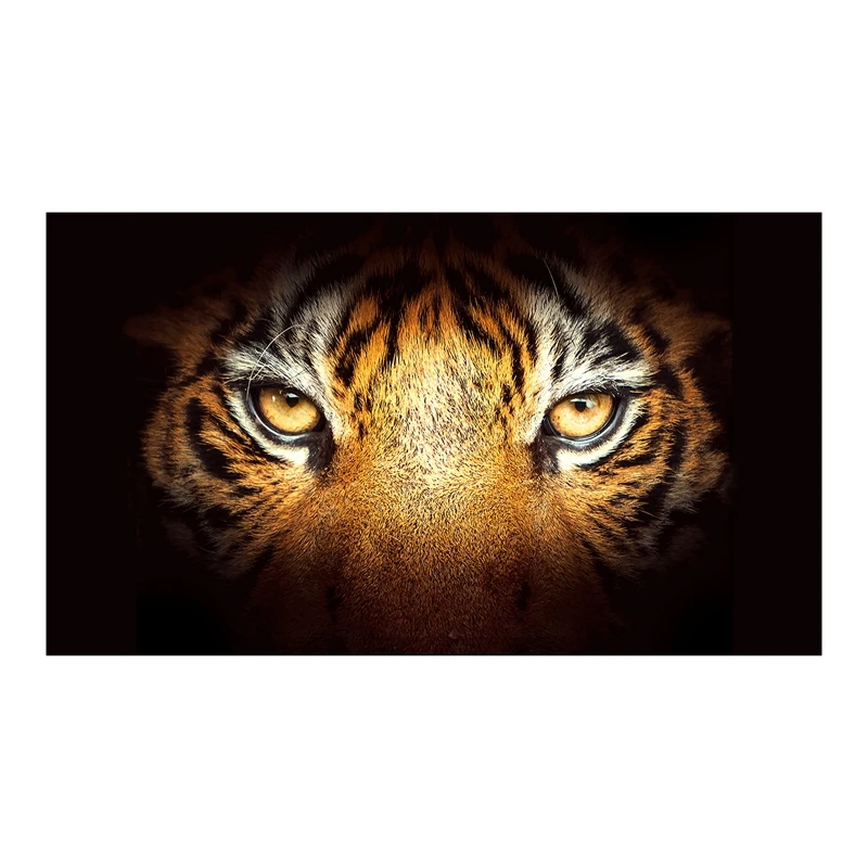 A166 for Truck Suv Pickup 3D Rear Windshield Sticker Sun Visor Decor Rear Window Glass Poster 165 x 56CM / 65 x 22 Inch
A166 for Truck Suv Pickup 3D Rear Windshield Sticker Sun Visor Decor Rear Window Glass Poster 165 x 56CM / 65 x 22 Inch