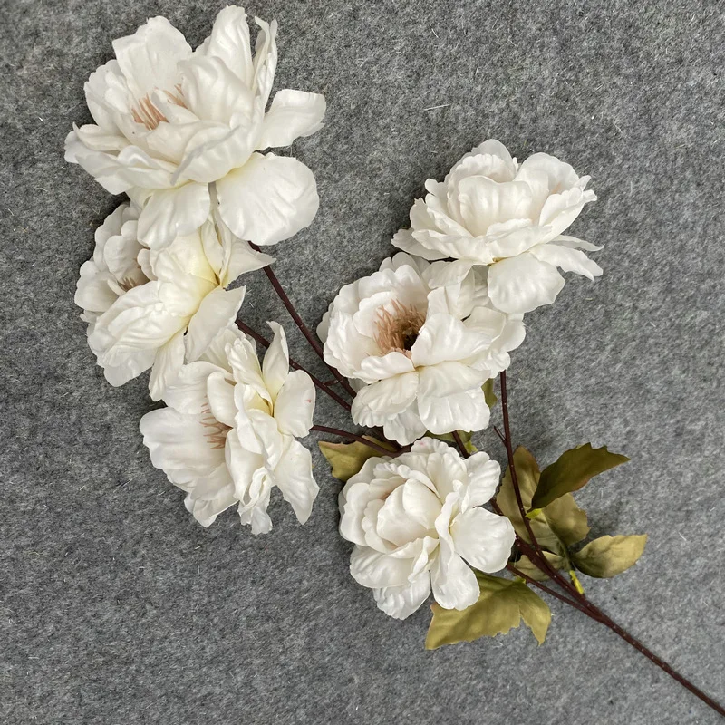 Silk Peony Blossom Branches,Artificial Peony Blossom Tree Stems Faux Peony Flowers Vase Arrangements for Wedding Home Decor
Silk Peony Blossom Branches,Artificial Peony Blossom Tree Stems Faux Peony Flowers Vase Arrangements for Wedding Home Decor