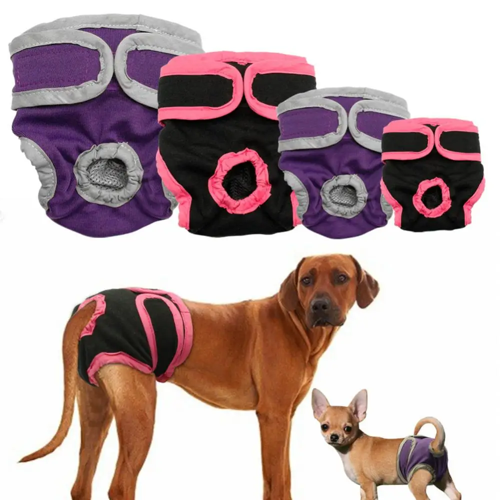

Female Dog Pet Dog Diapers Reusable Protective Trousers For In Heat Monthly Bleeding Physiological Washable Pants For Female Dog