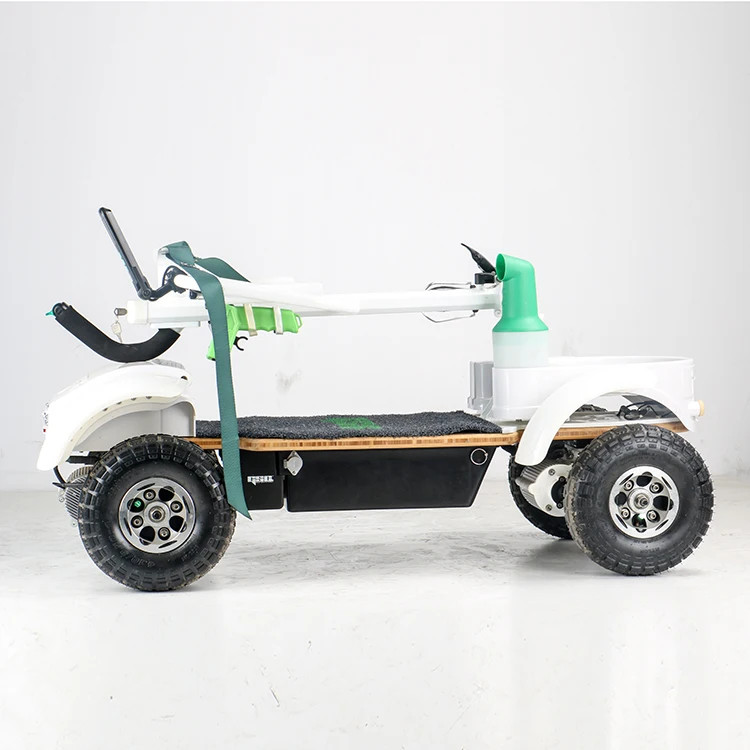 10 inch Golf Electric Skateboard 4 Wheel 1000W For Adults Two motor wheel electric golf carts
10 inch Golf Electric Skateboard 4 Wheel 1000W For Adults Two motor wheel electric golf carts