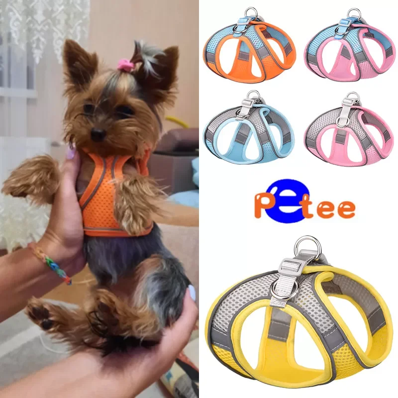 Reflective Pet Harness Dogs Strap With Leash Adjustable Nylon Harness Vest Breathable Collars For Chihuahua Small Large Dogs
Reflective Pet Harness Dogs Strap With Leash Adjustable Nylon Harness Vest Breathable Collars For Chihuahua Small Large Dogs