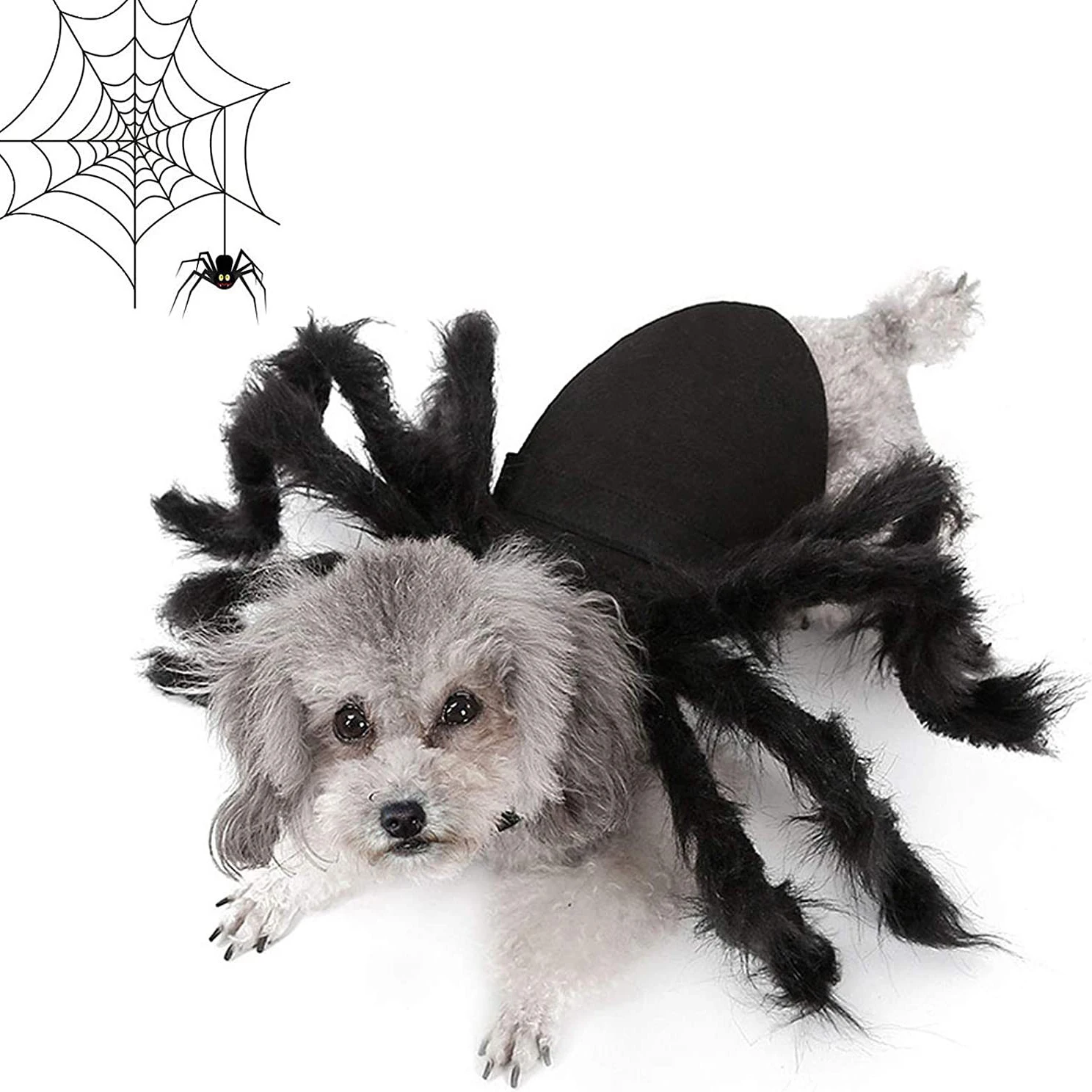 Pet Halloween Costume Terrifying Dog Cat Spider Transformation Clothes Halloween Cosplay Prop Accessories for Small To Large Dog
Pet Halloween Costume Terrifying Dog Cat Spider Transformation Clothes Halloween Cosplay Prop Accessories for Small To Large Dog