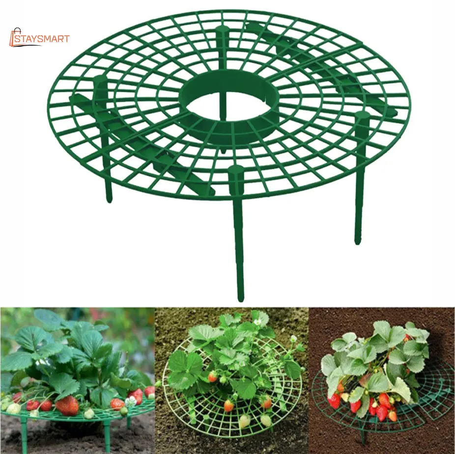 Strawberry Plant Support Strawberry Growing Racks/ Frame 5PCS Support Plant Flower Climbing Vine Pillar
Strawberry Plant Support Strawberry Growing Racks/ Frame 5PCS Support Plant Flower Climbing Vine Pillar