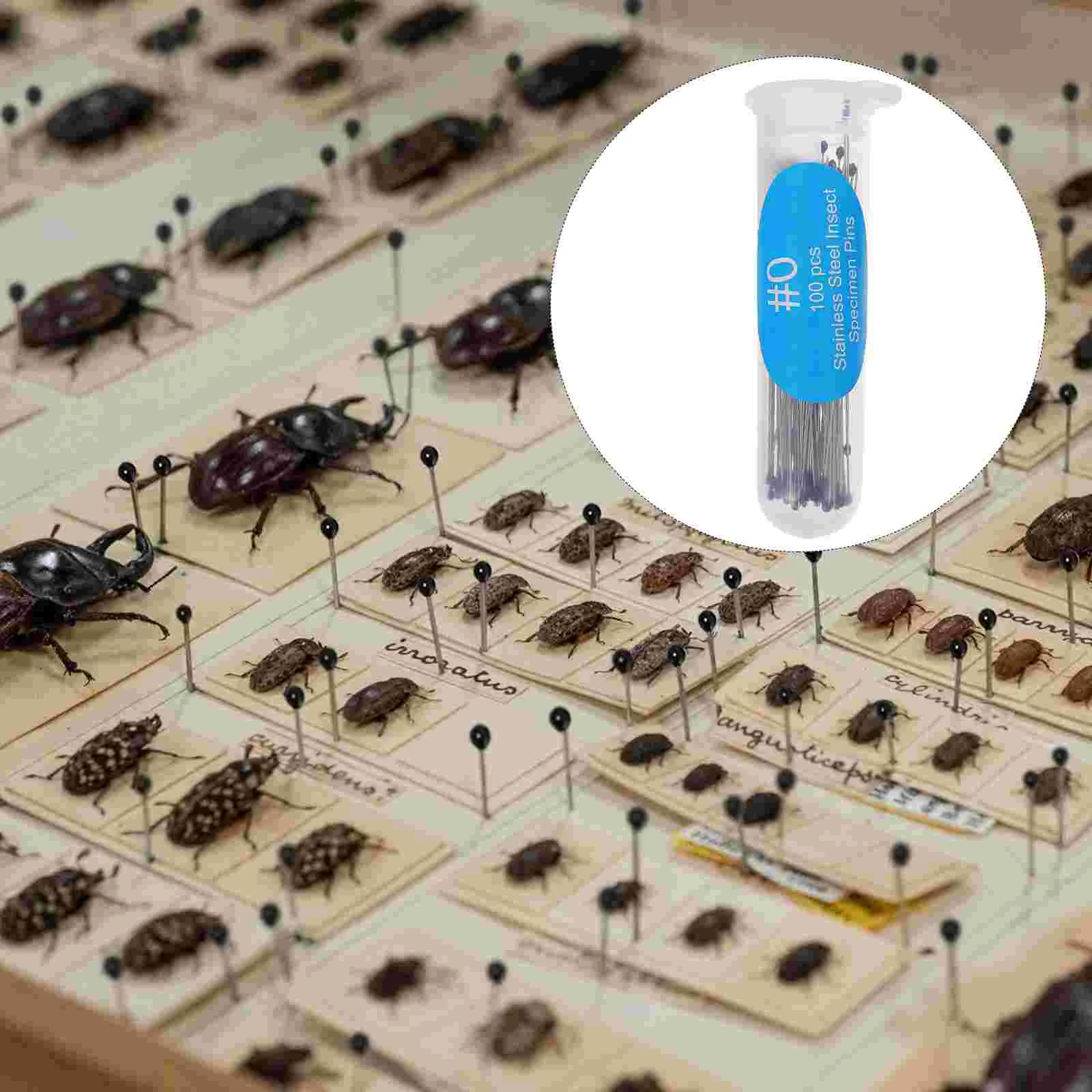 Pins Entomology Specimen Kit Collectionsteelpinning Stainless Needle Dissection Mounting Bug Pin Kids Tool Storage Bugs Supplies
Pins Entomology Specimen Kit Collectionsteelpinning Stainless Needle Dissection Mounting Bug Pin Kids Tool Storage Bugs Supplies