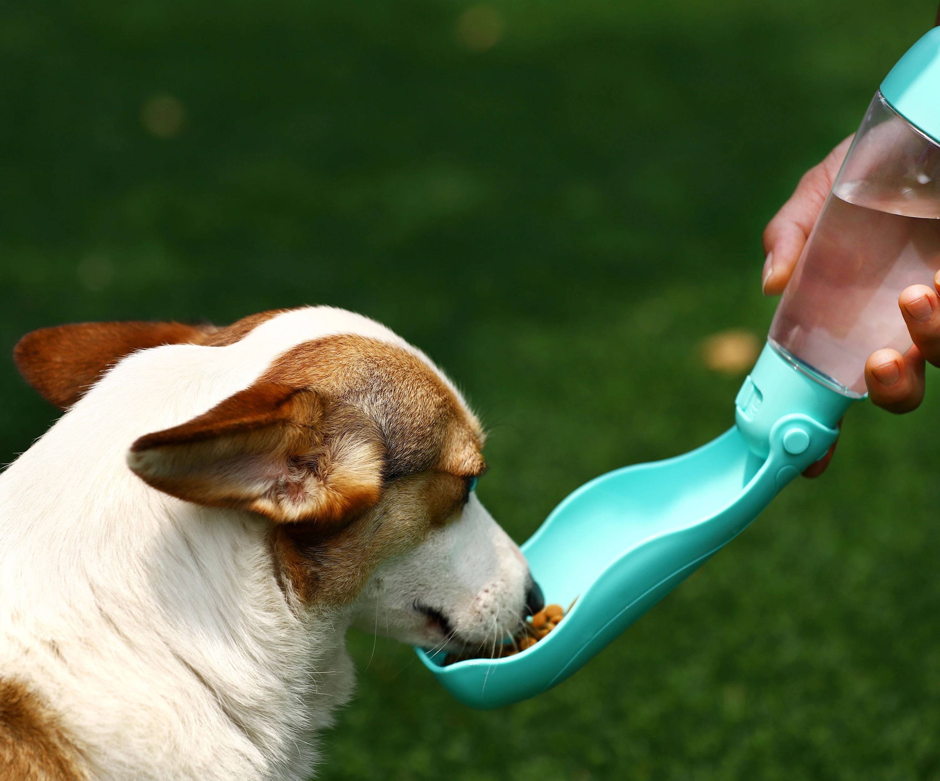 Dog/cat Water Bottle Folding Drinker Plastic Portable Water Bottle Pets Outdoor Travel Drinking Water Feeder Bowl 420ML
Dog/cat Water Bottle Folding Drinker Plastic Portable Water Bottle Pets Outdoor Travel Drinking Water Feeder Bowl 420ML