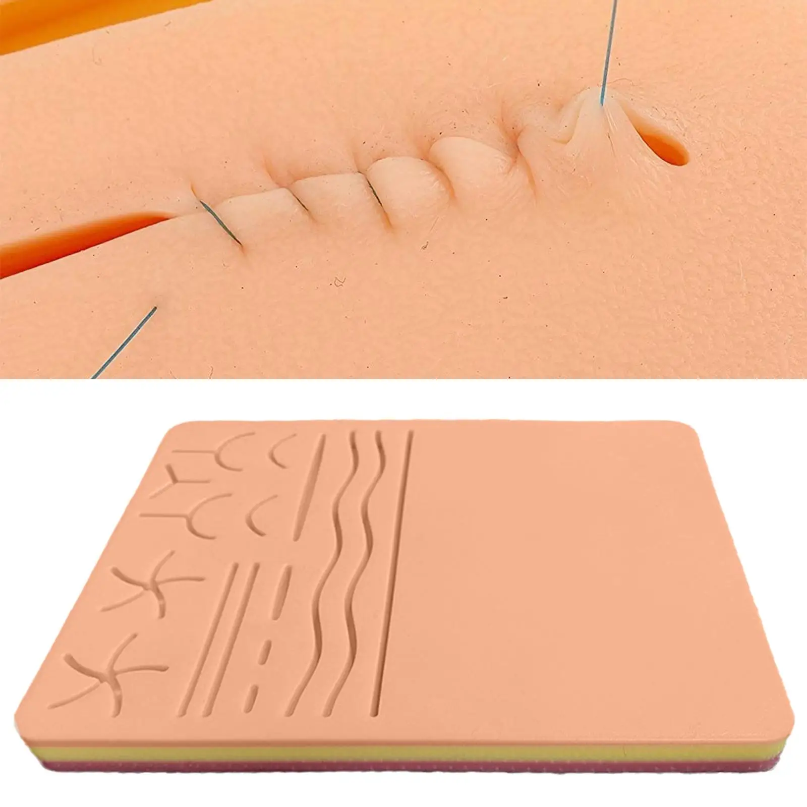 Suture Practice Kit with Wounds Teaching Aid Human Skin Model for Educational Model Demonstration Student Practice Lab Supplies 
Suture Practice Kit with Wounds Teaching Aid Human Skin Model for Educational Model Demonstration Student Practice Lab Supplies