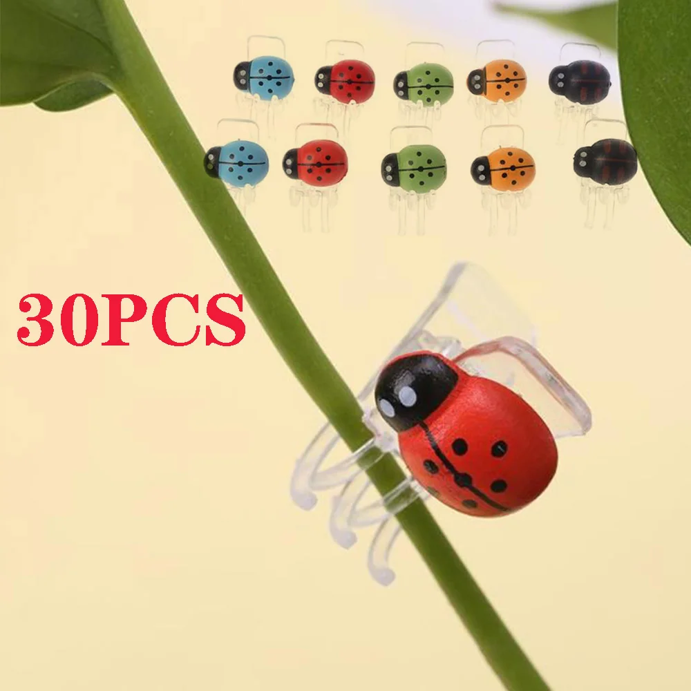 30Pcs Butterfly Orchid Clip Gardening Bonsai Modeling Vine Fixing Clips Grafting Plant Tools Cute Ladybug Clip Potted Decoration
30Pcs Butterfly Orchid Clip Gardening Bonsai Modeling Vine Fixing Clips Grafting Plant Tools Cute Ladybug Clip Potted Decoration
