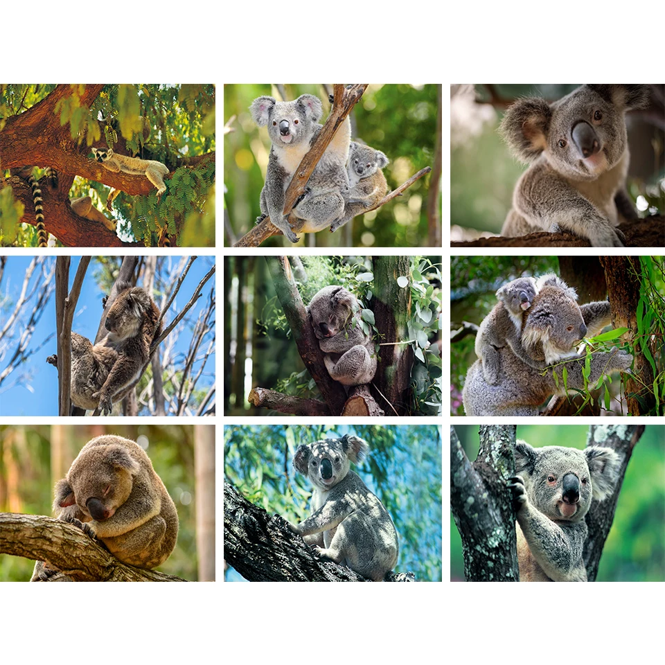 Sloth 5D DIY алмазная живопись Стразы Искусство вышивка мозаика животное Набор для вышивки крестиком подарки для домашнего декора
Sloth 5D DIY алмазная живопись Стразы Искусство вышивка мозаика животное Набор для вышивки крестиком подарки для домашнего декора