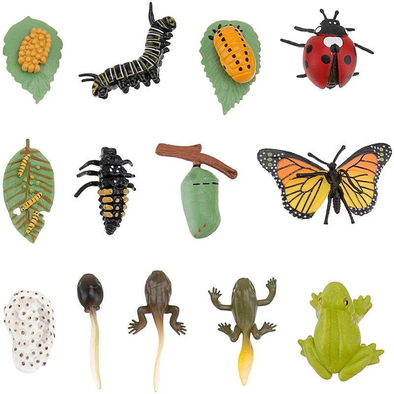 

3 комплекта фигурки насекомых, жизненный цикл, Бабочка, лягушка, божья коровка, сафариология, цикл роста, модель, обучающая игрушка