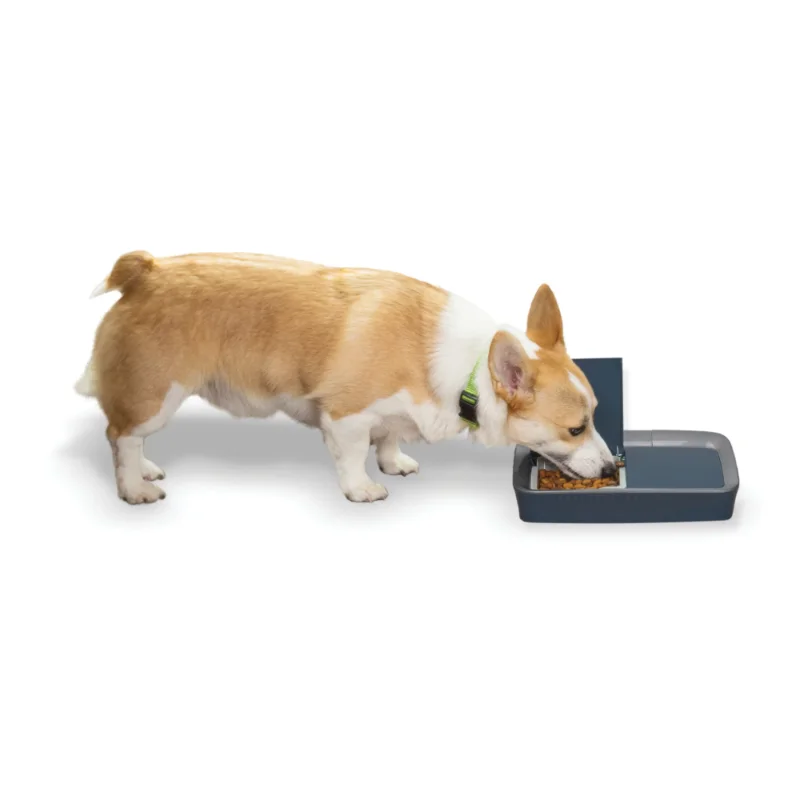

Цифровая программируемая кормушка для домашних животных с 2 едами, автоматическая кормушка для собак и кошек, сухая или полувлажная искусственная кормушка