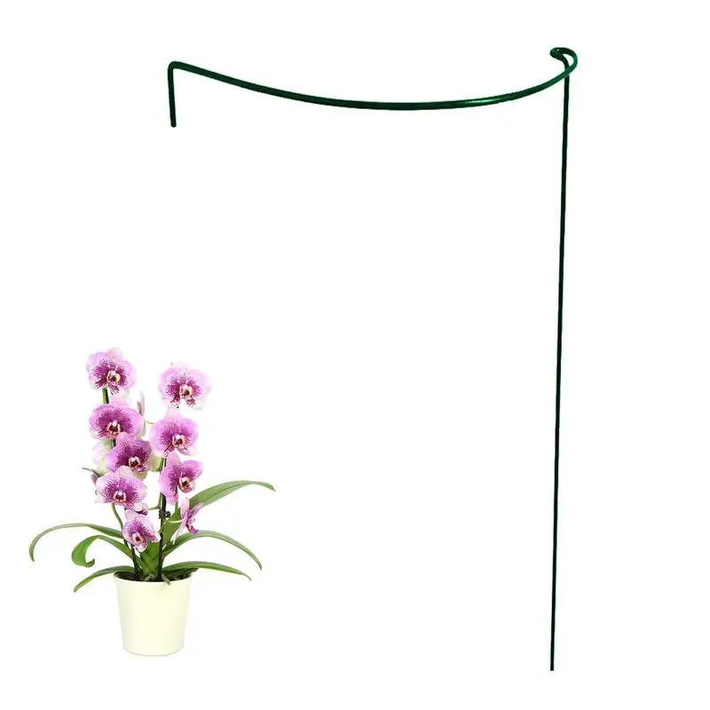 Single Stem Stakes Flower Support Plant Support Garden Stake PE Coating Support Hoops Metal Support Orchid Peony Outdoor Plants
Single Stem Stakes Flower Support Plant Support Garden Stake PE Coating Support Hoops Metal Support Orchid Peony Outdoor Plants