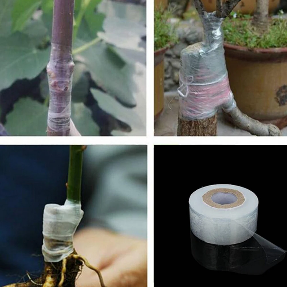 1Roll Self-adhesive Fruit Tree Grafting Tape Plants Tools Nursery Stretchable Garden Flower Vegetable Grafting Tapes 120m
1Roll Self-adhesive Fruit Tree Grafting Tape Plants Tools Nursery Stretchable Garden Flower Vegetable Grafting Tapes 120m