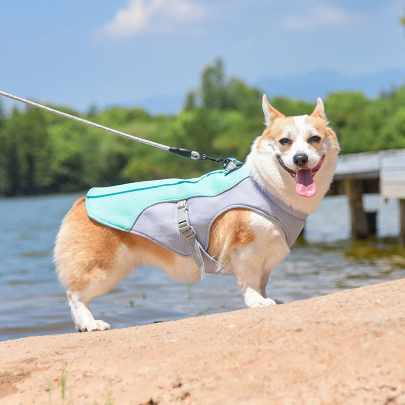 Summer Dog Cooling Vest Harness Reflective Quick Release Hot Pet Clothes Cool Jacket For Small Medium Large Dog Accessories
Summer Dog Cooling Vest Harness Reflective Quick Release Hot Pet Clothes Cool Jacket For Small Medium Large Dog Accessories