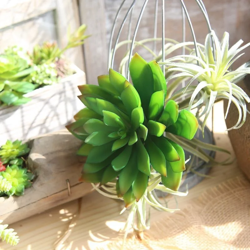 Hibiscus lotus Succulent plant flower wall simulation flower household decoration plant wall artificial flower MW17698
Hibiscus lotus Succulent plant flower wall simulation flower household decoration plant wall artificial flower MW17698