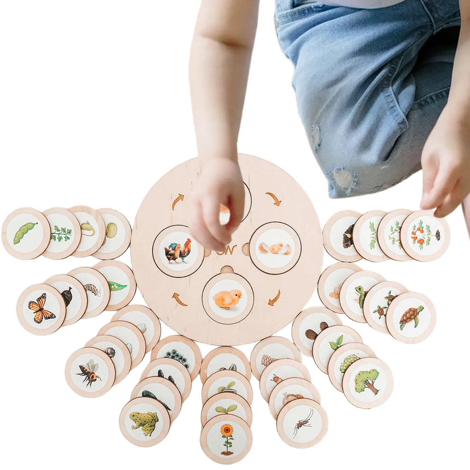 Life Cycle Puzzle Montessori Life Growth Cycle Board Puzzle Gifts Nature Game Teaching Aids Toy For Interaction Game 3 4 5
Life Cycle Puzzle Montessori Life Growth Cycle Board Puzzle Gifts Nature Game Teaching Aids Toy For Interaction Game 3 4 5