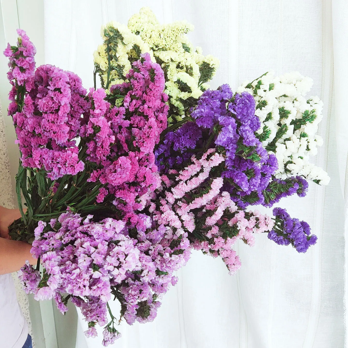 Dried Natural Flower Wedding Arrangement Preserved Forget-Me-Not Valentine's Grass Florals Home Living Room Talbe Decoration
Dried Natural Flower Wedding Arrangement Preserved Forget-Me-Not Valentine's Grass Florals Home Living Room Talbe Decoration