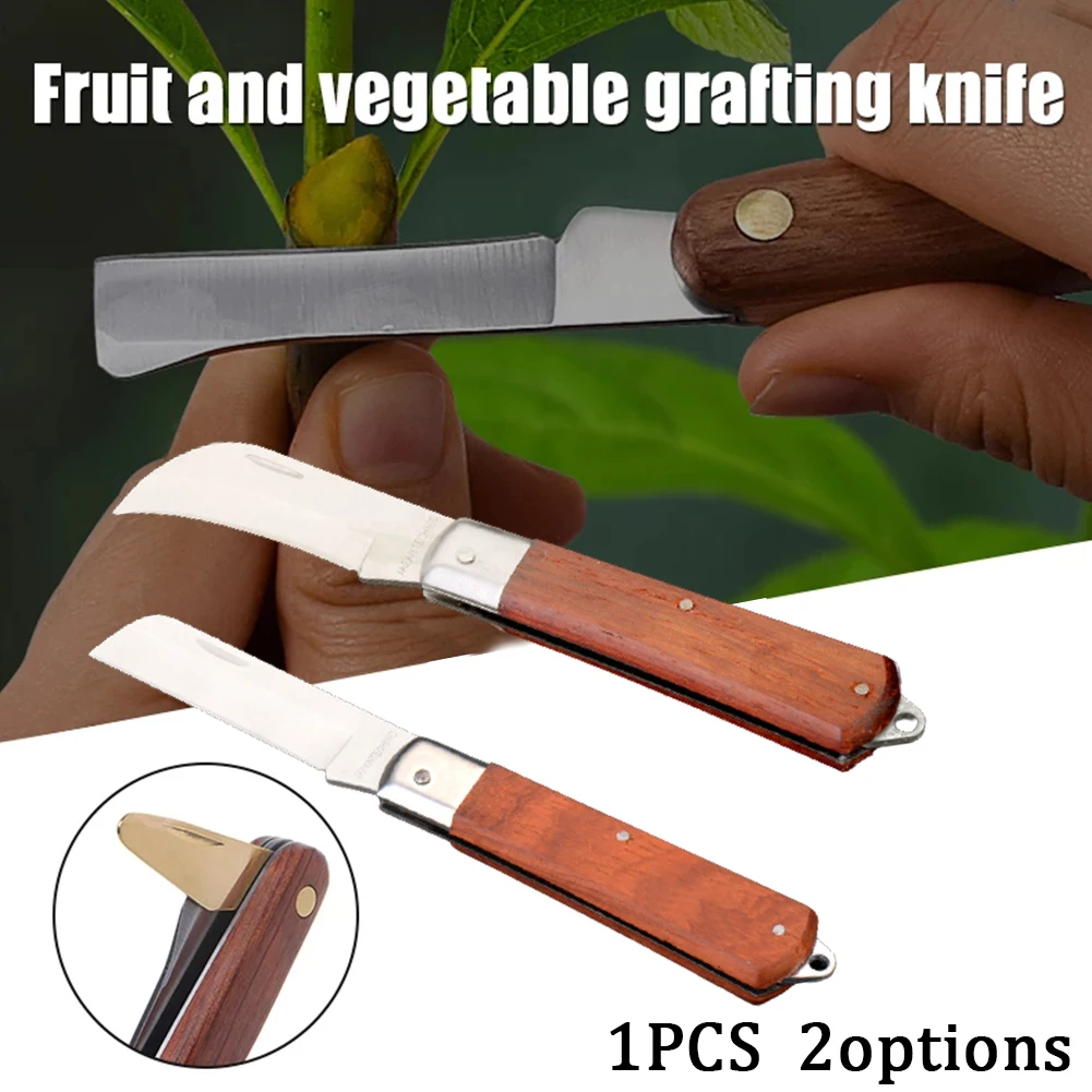 Складной нож, прививочный нож, нож электрика, нож с деревянной ручкой, пилинг, нож для обрезки, лезвие для резки, пила, ручной инструмент для о...
Складной нож, прививочный нож, нож электрика, нож с деревянной ручкой, пилинг, нож для обрезки, лезвие для резки, пила, ручной инструмент для о...