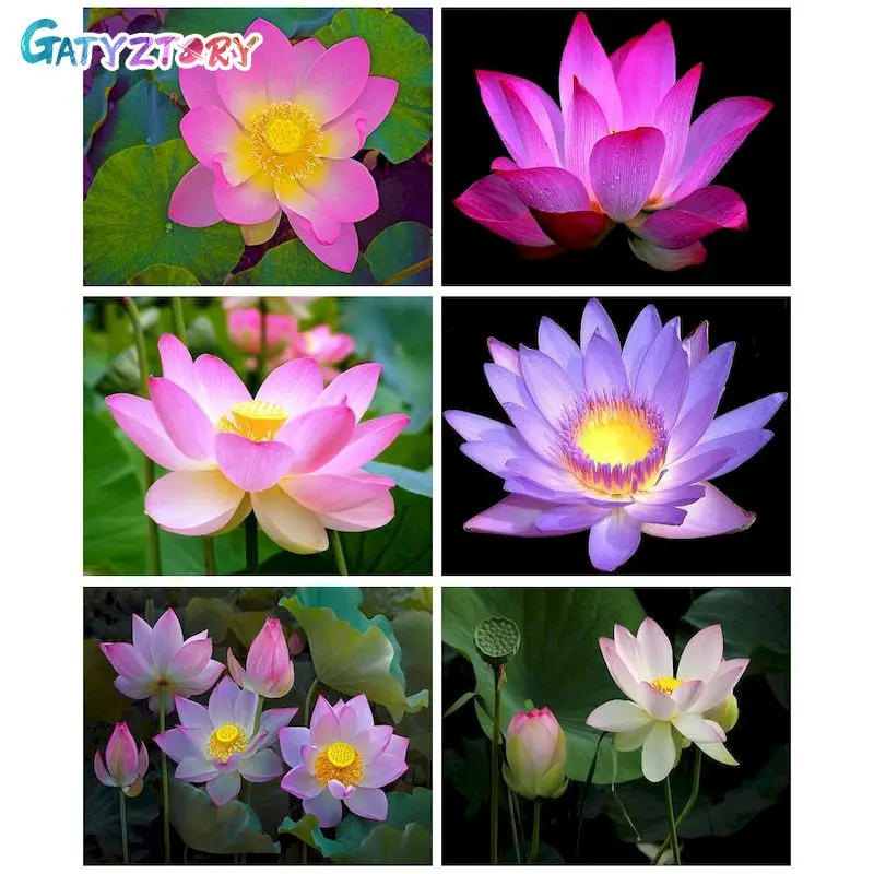 GATYZTORY DIY Pictures By Number Flower Kits Drawing On Canvas Painting By Numbers Hand Painted Paintings Gift Home Decor
GATYZTORY DIY Pictures By Number Flower Kits Drawing On Canvas Painting By Numbers Hand Painted Paintings Gift Home Decor