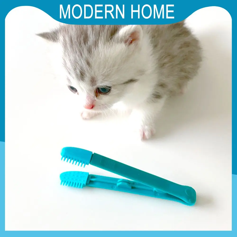 Eco-friendly Pet Comb Tear Stain Brushes Pets Cleaning Grooming Tools Reusable Cats Brush Eye Care Toothbrush Tear Stains Brush
Eco-friendly Pet Comb Tear Stain Brushes Pets Cleaning Grooming Tools Reusable Cats Brush Eye Care Toothbrush Tear Stains Brush