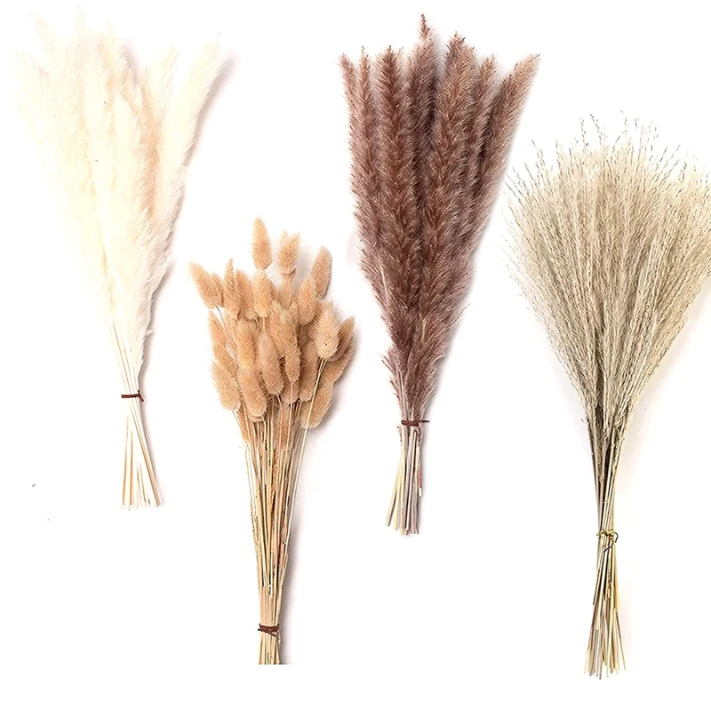 Pampas Grass Decor, 100PCS Natural Dried Fluffy Large Pompous Grass, 17.5Inch Dried Flowers For Boho Home Wedding Decor
Pampas Grass Decor, 100PCS Natural Dried Fluffy Large Pompous Grass, 17.5Inch Dried Flowers For Boho Home Wedding Decor