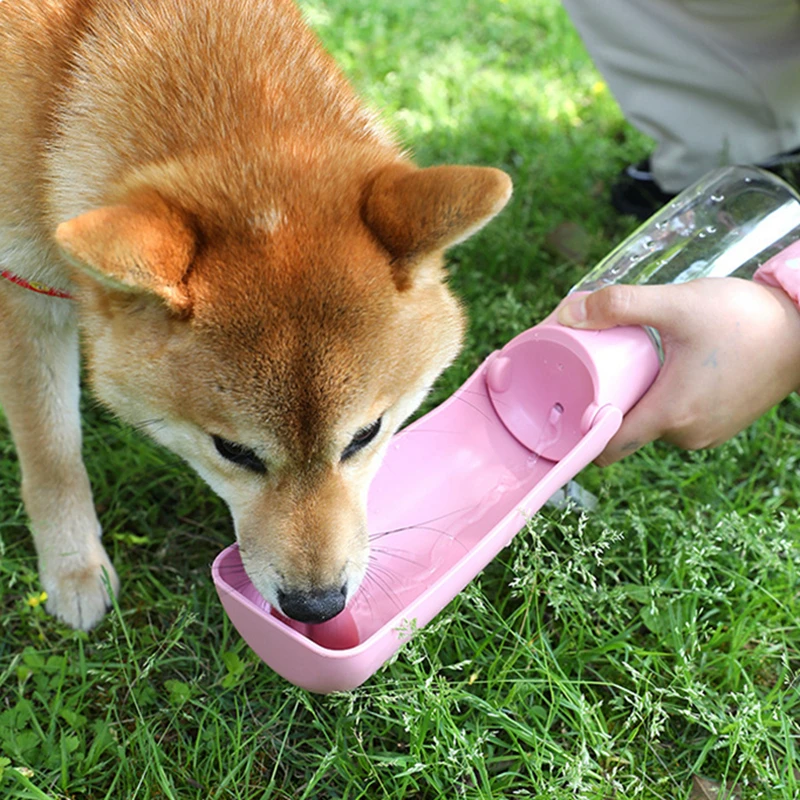 Миска для медленного питания для домашних питомцев, пластиковая тарелка из полипропилена с защитой от удушения, для щенков и кошек, товары д...
Миска для медленного питания для домашних питомцев, пластиковая тарелка из полипропилена с защитой от удушения, для щенков и кошек, товары д...