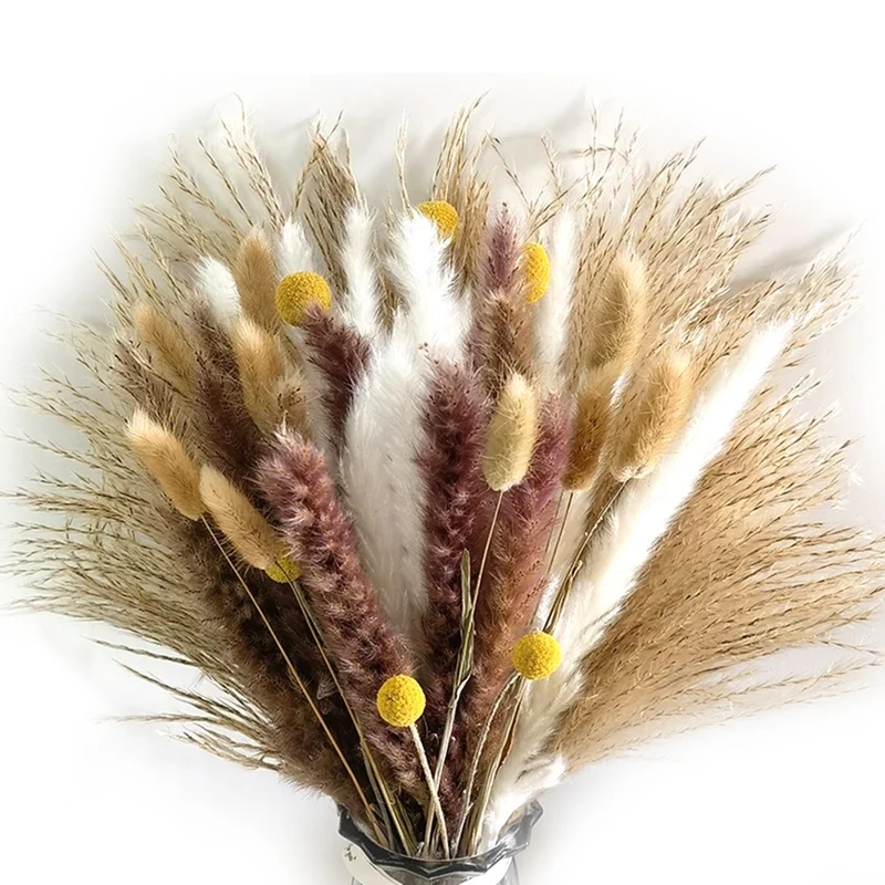 66Pcs Dried Pampas Grass Decor Real Reed Grass Fluffy Dry Flowers Wedding DIY Bohemian Natural Bouquet For Home
66Pcs Dried Pampas Grass Decor Real Reed Grass Fluffy Dry Flowers Wedding DIY Bohemian Natural Bouquet For Home