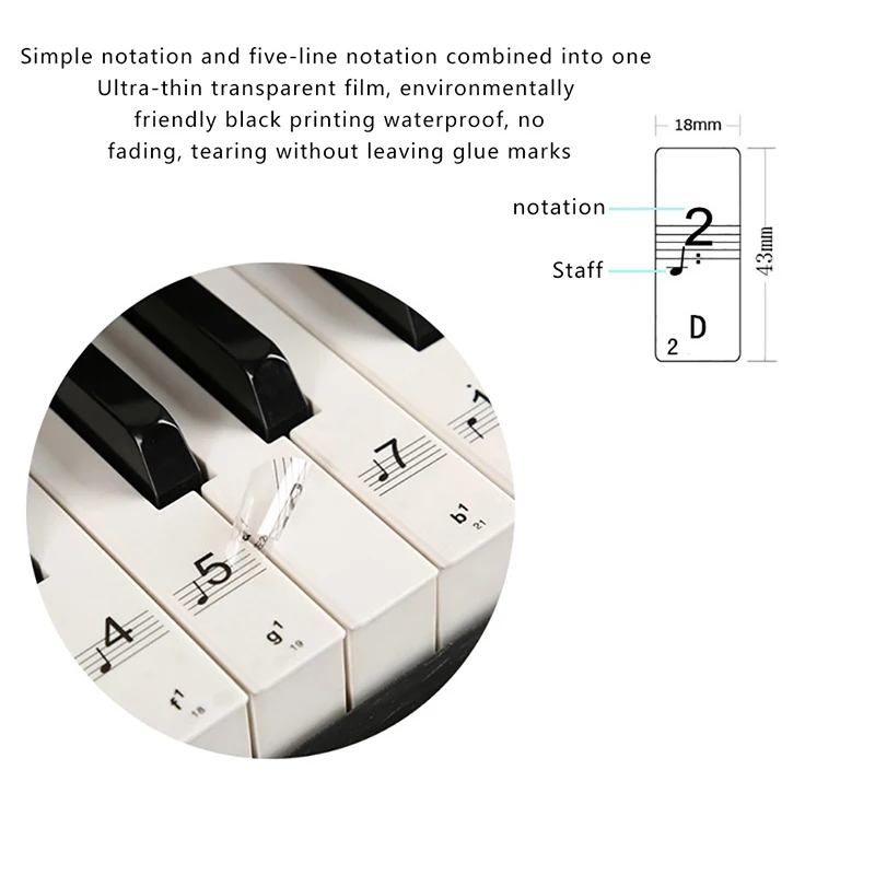 Universal 54/61/88 Transparent Piano Keyboard Sticker Phonetic Stickers Electronic Keyboard Key Note Sticker Symbol Recognition
Universal 54/61/88 Transparent Piano Keyboard Sticker Phonetic Stickers Electronic Keyboard Key Note Sticker Symbol Recognition