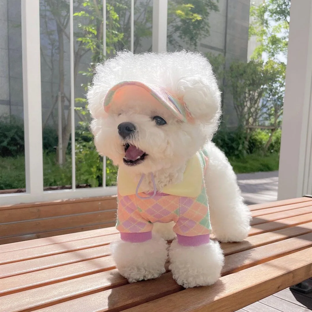 dog costume dog clothes dog suit Designer dog shirt two colors dog clothes french bulldog dog shirt dog clothes luxury fashion
dog costume dog clothes dog suit Designer dog shirt two colors dog clothes french bulldog dog shirt dog clothes luxury fashion