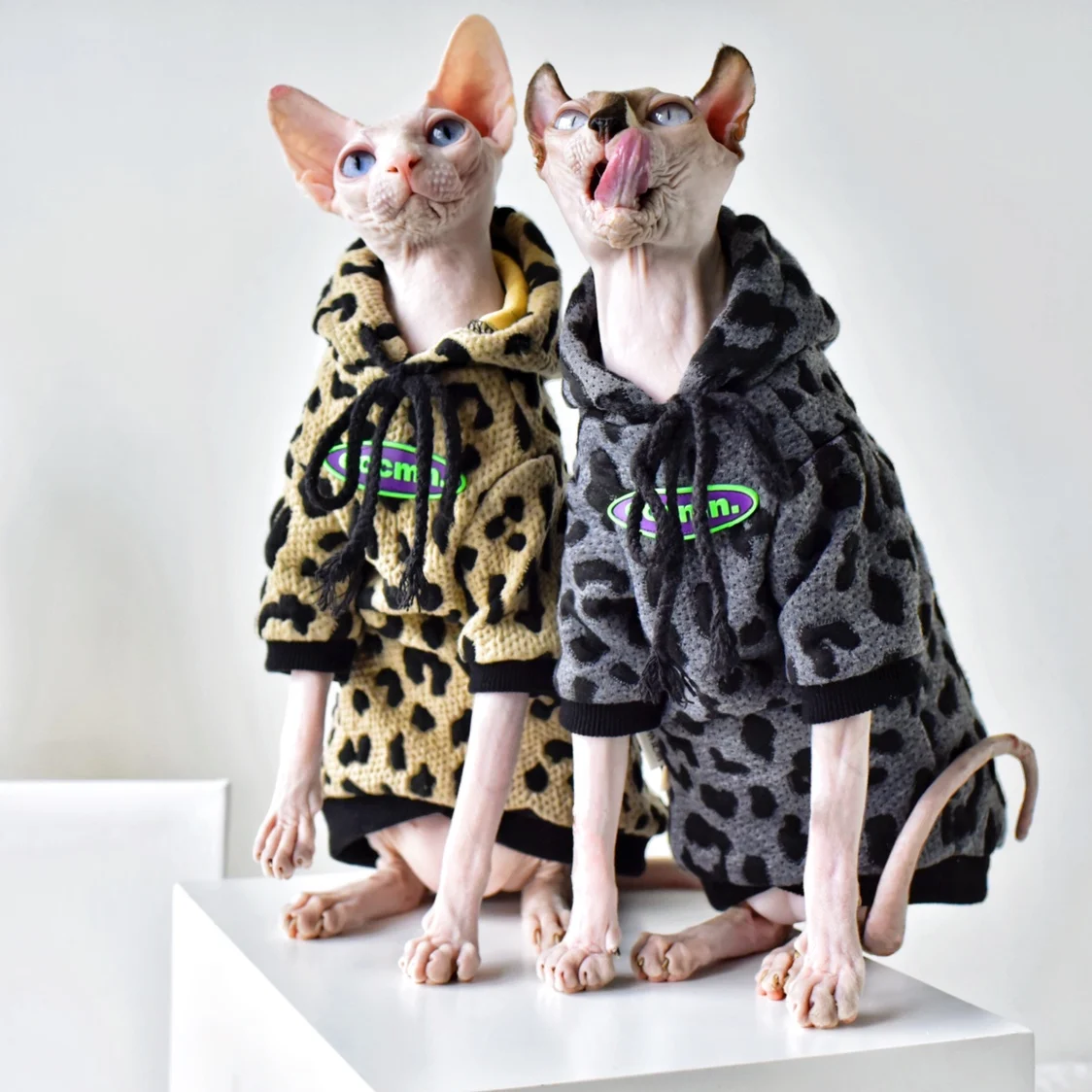 Наряды кошек Sphynx, хлопковый Камуфляжный свитер, осенне-зимняя теплая одежда для кошек без волос, толстовка Devon Rex, крутая Одежда для кошек без...
Наряды кошек Sphynx, хлопковый Камуфляжный свитер, осенне-зимняя теплая одежда для кошек без волос, толстовка Devon Rex, крутая Одежда для кошек без...