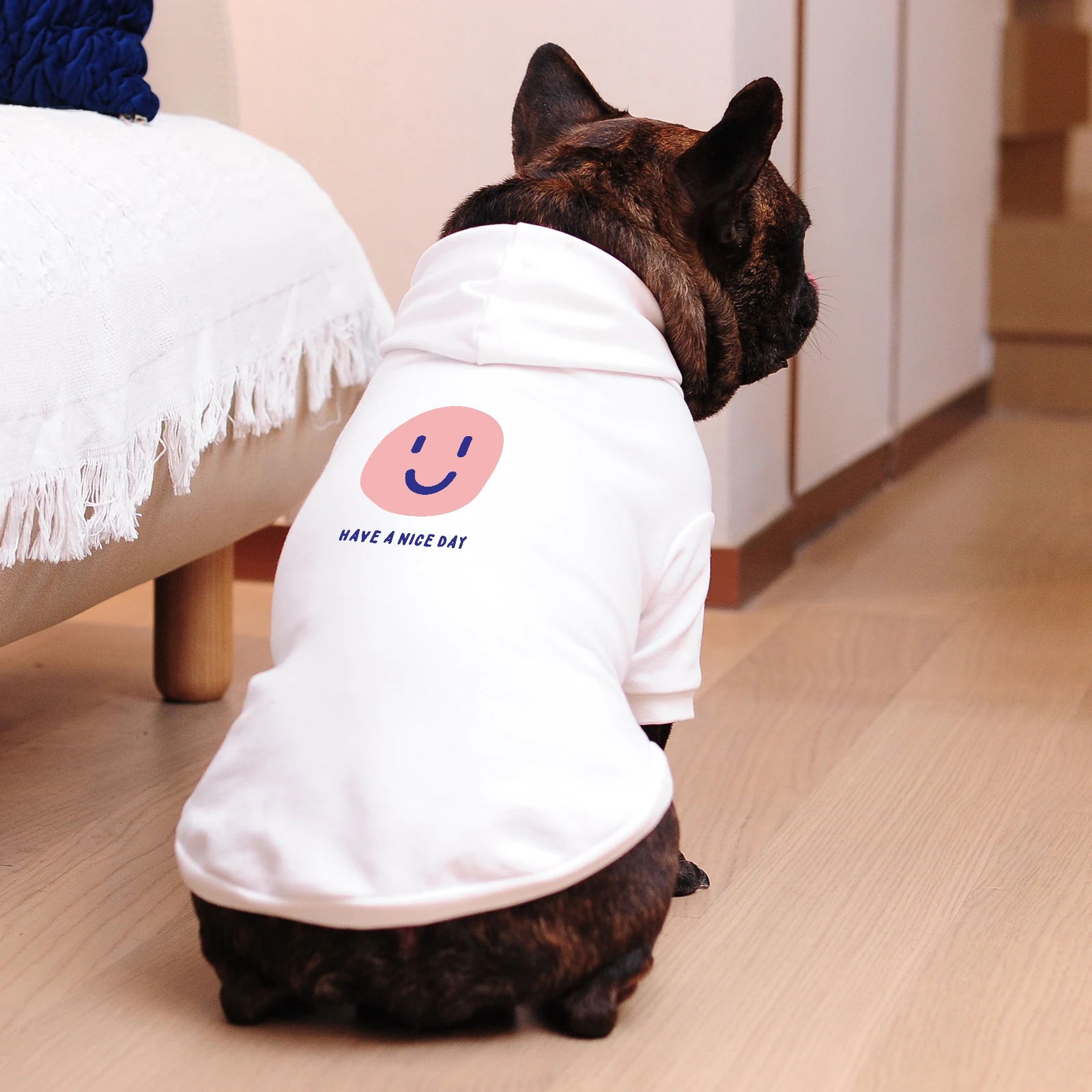 Cute Pet Clothes Hoodie Autumn Winter 2022 New Cat Dog Clothes to Keep Warm Soft Cotton Comfy Fabric
Cute Pet Clothes Hoodie Autumn Winter 2022 New Cat Dog Clothes to Keep Warm Soft Cotton Comfy Fabric