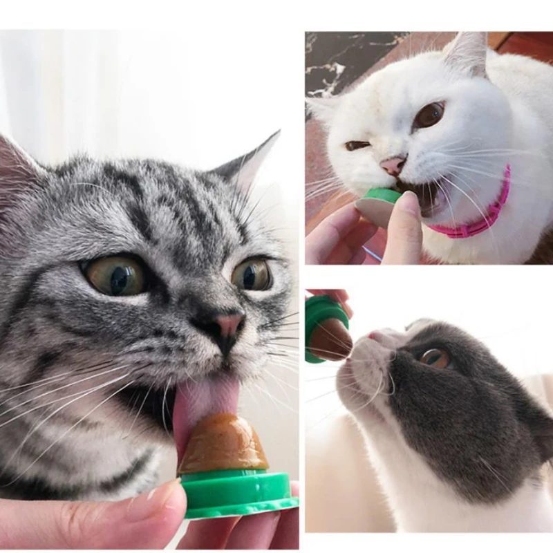 Cat Catnip Cat Toys Healthy Nutrition Cat Lollipop Cat Mint On The Wall Cat Energy Ball Candy Snacks Goods For Cats Pet Products
Cat Catnip Cat Toys Healthy Nutrition Cat Lollipop Cat Mint On The Wall Cat Energy Ball Candy Snacks Goods For Cats Pet Products