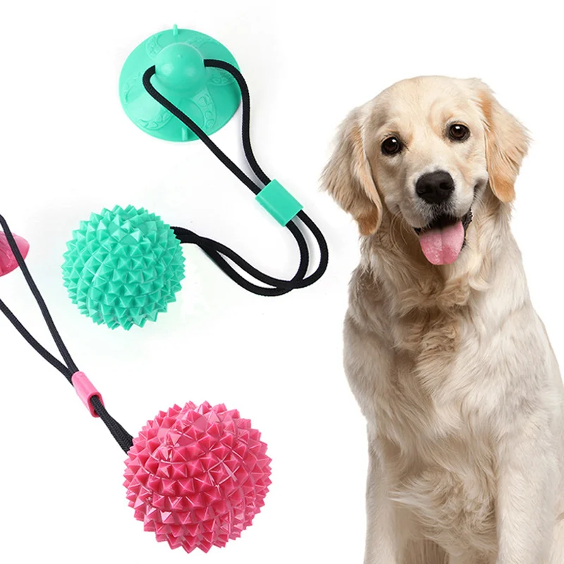 Pet Dog Chew Toy Accessories Supplies Rubber Resistance to Bite Teeth Cleaning Training Ball Toys for Dogs Suction Cup Elastic
Pet Dog Chew Toy Accessories Supplies Rubber Resistance to Bite Teeth Cleaning Training Ball Toys for Dogs Suction Cup Elastic