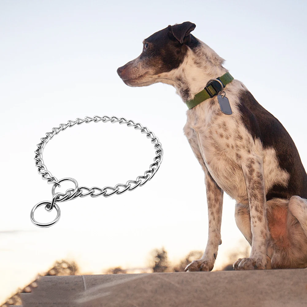 Pet Dog Collars Stainless Steel Training Collars for for Small Medium Large Dogs Adjustable Chain Necklace
Pet Dog Collars Stainless Steel Training Collars for for Small Medium Large Dogs Adjustable Chain Necklace