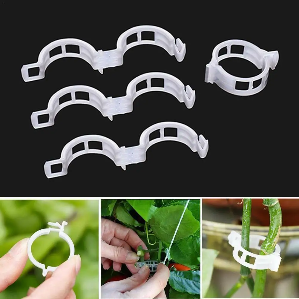 20/50Pcs Greenhouse Practical Plant Fixed Clip Growth Clip Hanger Graft Tomato Rattan Buckle Puller Plastic Tied Vine Clip Tool
20/50Pcs Greenhouse Practical Plant Fixed Clip Growth Clip Hanger Graft Tomato Rattan Buckle Puller Plastic Tied Vine Clip Tool