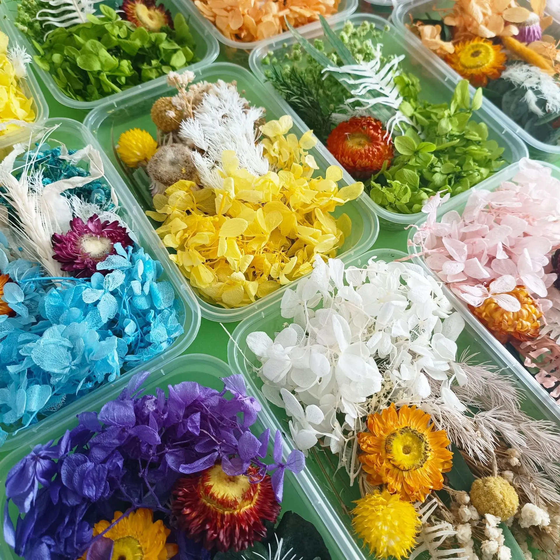 Сушеные цветы для эпоксидной смолы, 1 коробка
Сушеные цветы для эпоксидной смолы, 1 коробка