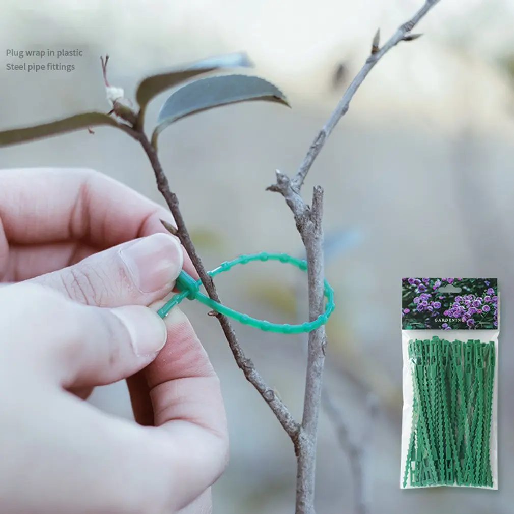 Plant Ties Bundle Fixed Gardening Accessories Figure 8 Fixed Buckle Garden Ties With Fish Bone Tie Line Gardening Supplies
Plant Ties Bundle Fixed Gardening Accessories Figure 8 Fixed Buckle Garden Ties With Fish Bone Tie Line Gardening Supplies