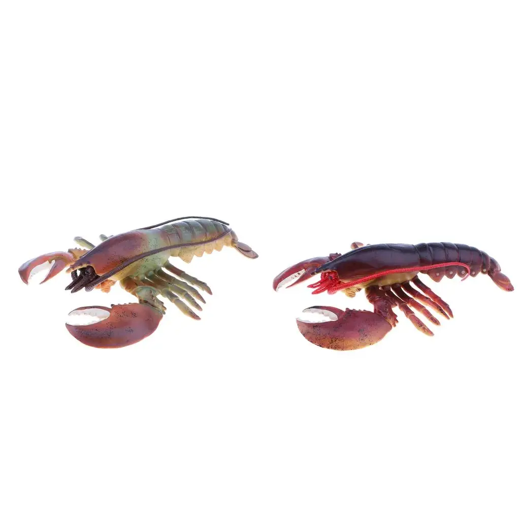 9 Inch Realistic Marine Animal Model Figurines Cyan Lobster Action Figure Toy for Kids, Science Educational Toy, Collection
9 Inch Realistic Marine Animal Model Figurines Cyan Lobster Action Figure Toy for Kids, Science Educational Toy, Collection