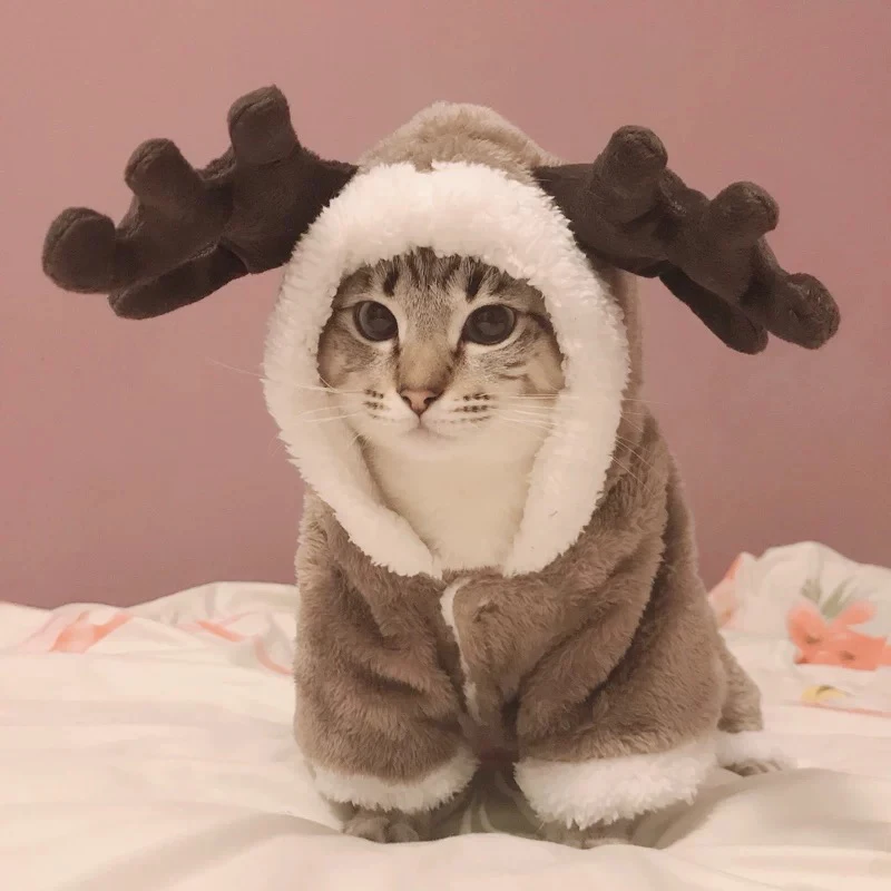 Winter Cat Clothes Warm Fleece Pet Costume For Small Cats Kitten Jumpsuits Clothing Cat Coat Jacket Pets Dog cat clothes funny
Winter Cat Clothes Warm Fleece Pet Costume For Small Cats Kitten Jumpsuits Clothing Cat Coat Jacket Pets Dog cat clothes funny