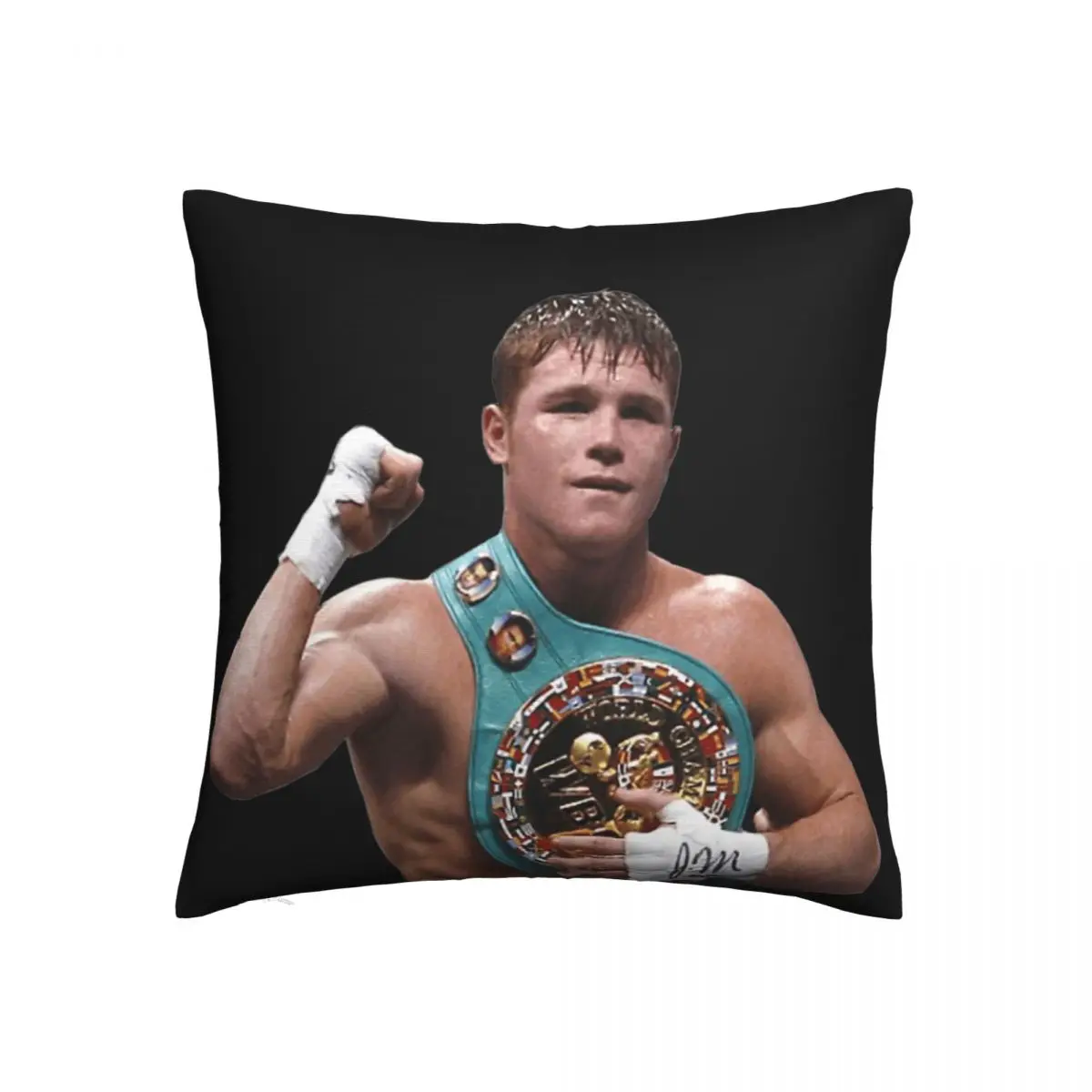 Square Pillow Saul Canelos Alvarez Boxing Classic Graphic R257 Weeping Willow Square Pillow Print Humor Graphic Rest
Square Pillow Saul Canelos Alvarez Boxing Classic Graphic R257 Weeping Willow Square Pillow Print Humor Graphic Rest