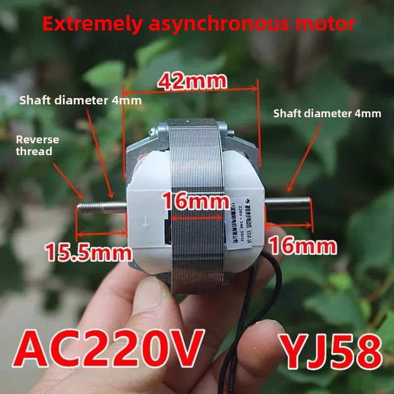 Двухсторонний асинхронный двигатель JY58-16 AC220V/50HZ
Двухсторонний асинхронный двигатель JY58-16 AC220V/50HZ