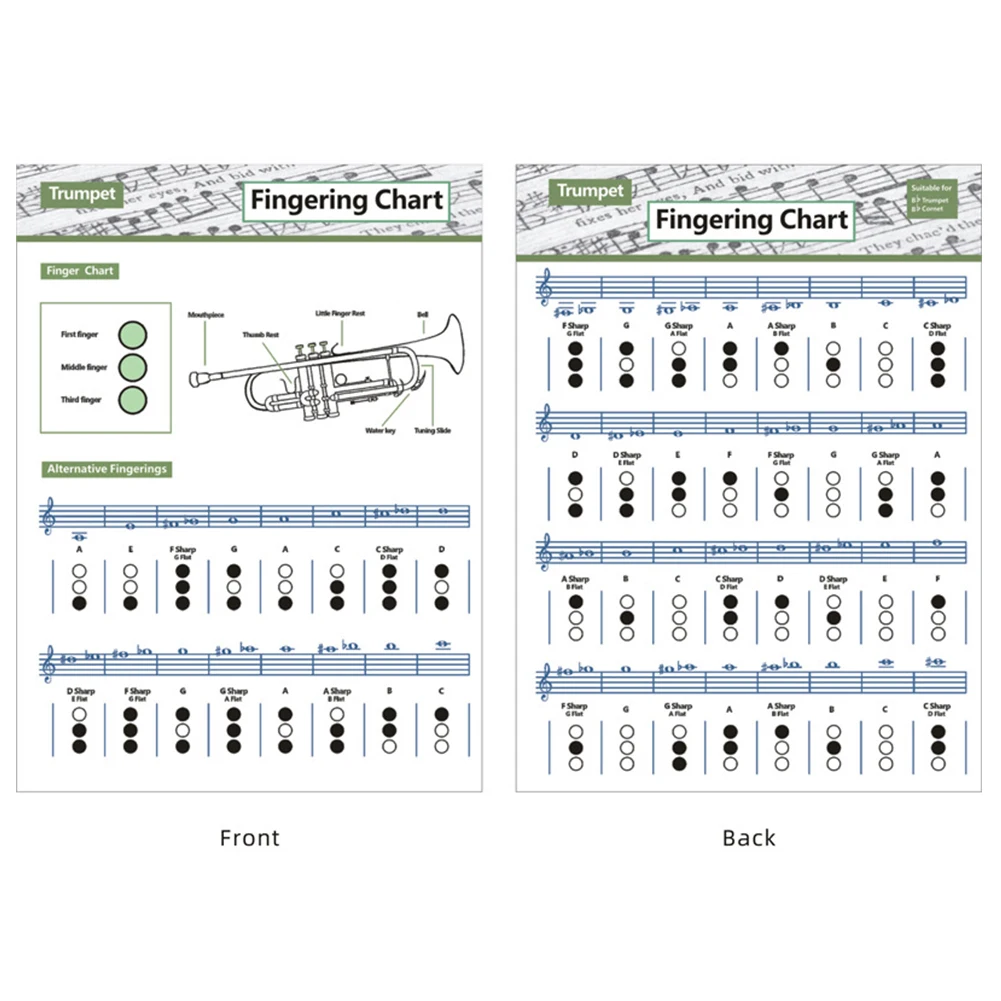 Piano Chord Practice Sticker Piano Chord Graphic Poster Fingering Chart Diagrams Music Lovers Playing Musical Accessories
Piano Chord Practice Sticker Piano Chord Graphic Poster Fingering Chart Diagrams Music Lovers Playing Musical Accessories