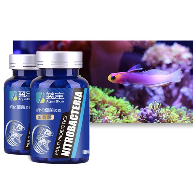2022 New 100Pcs/Bottle Aquarium Nitrifying Bacteria Concentrated Capsule Fish Tank Pond Cleaning Fresh Water Supplies
2022 New 100Pcs/Bottle Aquarium Nitrifying Bacteria Concentrated Capsule Fish Tank Pond Cleaning Fresh Water Supplies