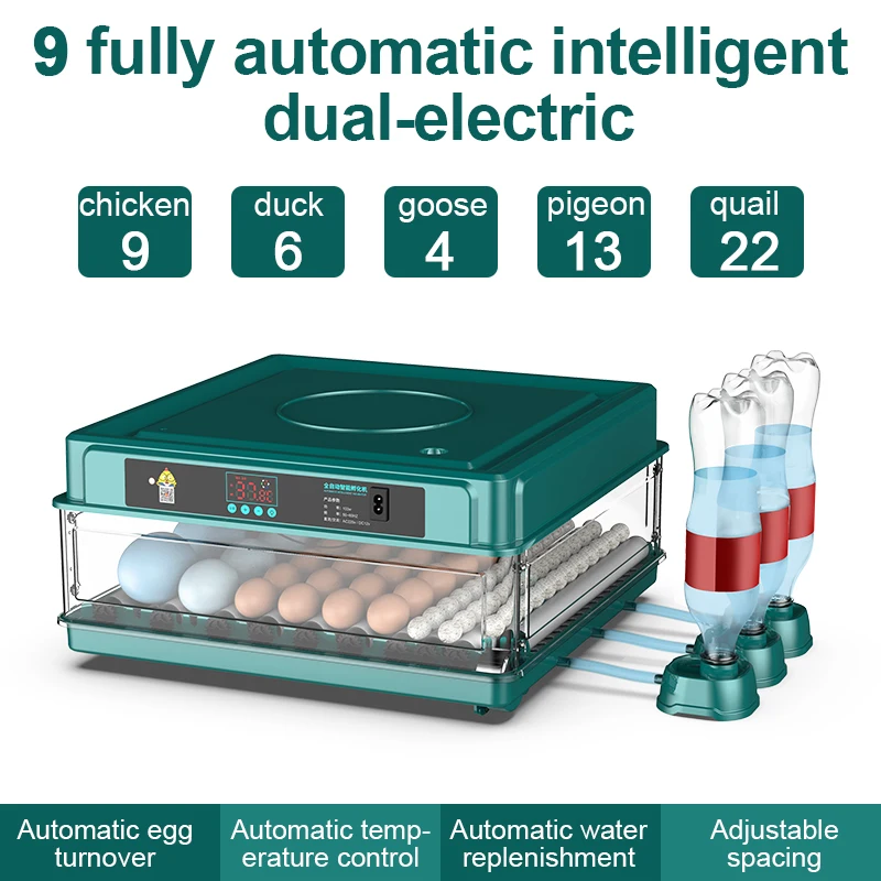 Equipment Incubation Bird Incubator Quail For Hatchery Automatic Incubation Plug Tools Eggs Goose 9-15 Chicken
Equipment Incubation Bird Incubator Quail For Hatchery Automatic Incubation Plug Tools Eggs Goose 9-15 Chicken