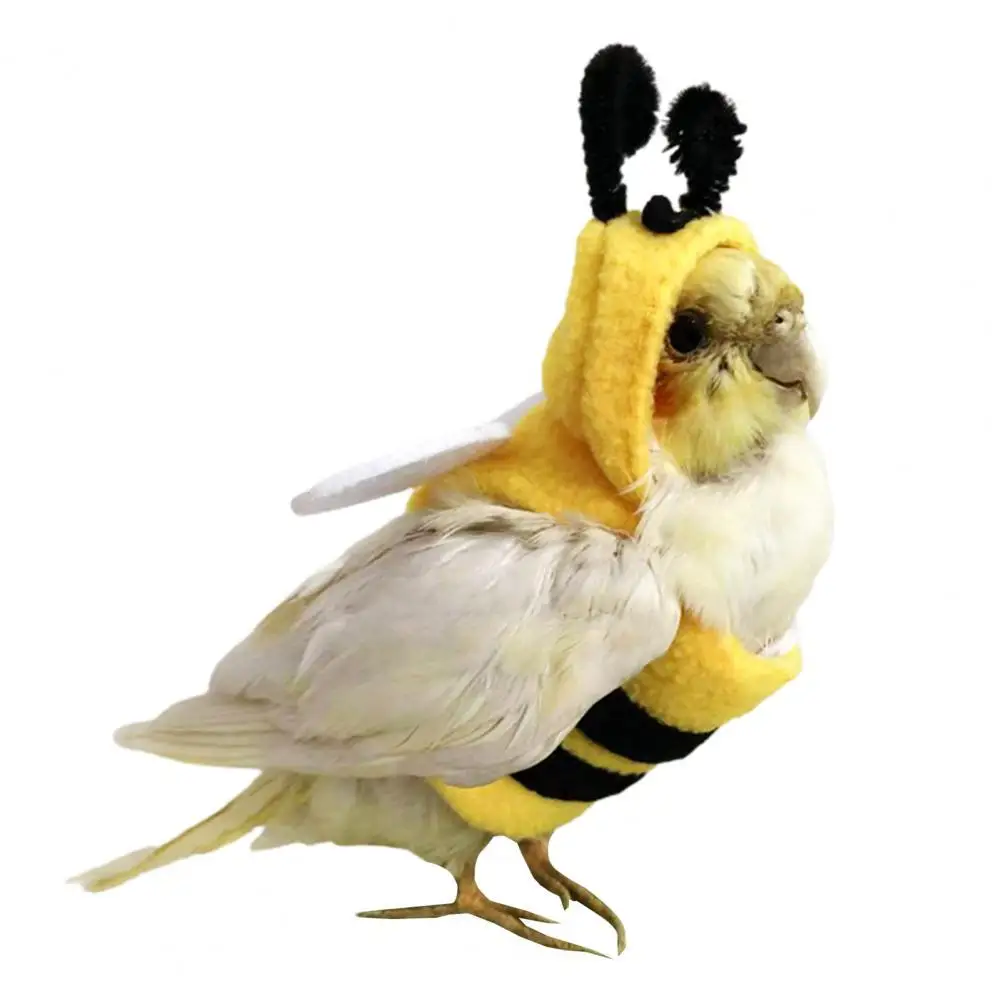 Functional Cockatiel Clothes Comfortable Fabric Bird Outfit Pet Bird Supplies Parrot Clothes
Functional Cockatiel Clothes Comfortable Fabric Bird Outfit Pet Bird Supplies Parrot Clothes