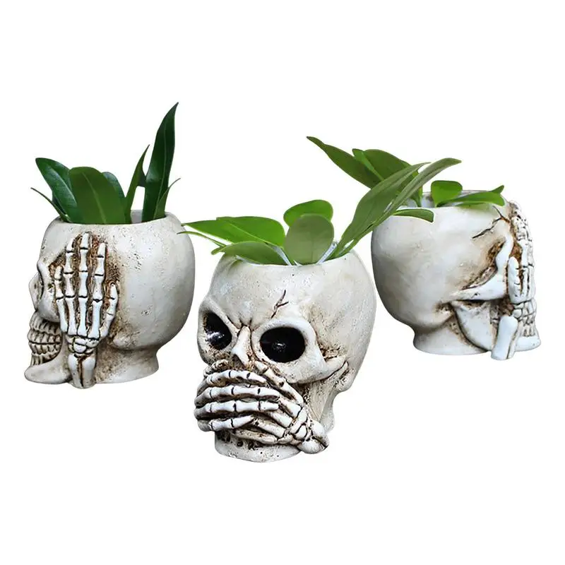 Succulent Planter Pot 3Pcs Resin Skull Head Flower Pots Creative Succulent Pot Candy Container Flowerpot Funny Planter Plant
Succulent Planter Pot 3Pcs Resin Skull Head Flower Pots Creative Succulent Pot Candy Container Flowerpot Funny Planter Plant