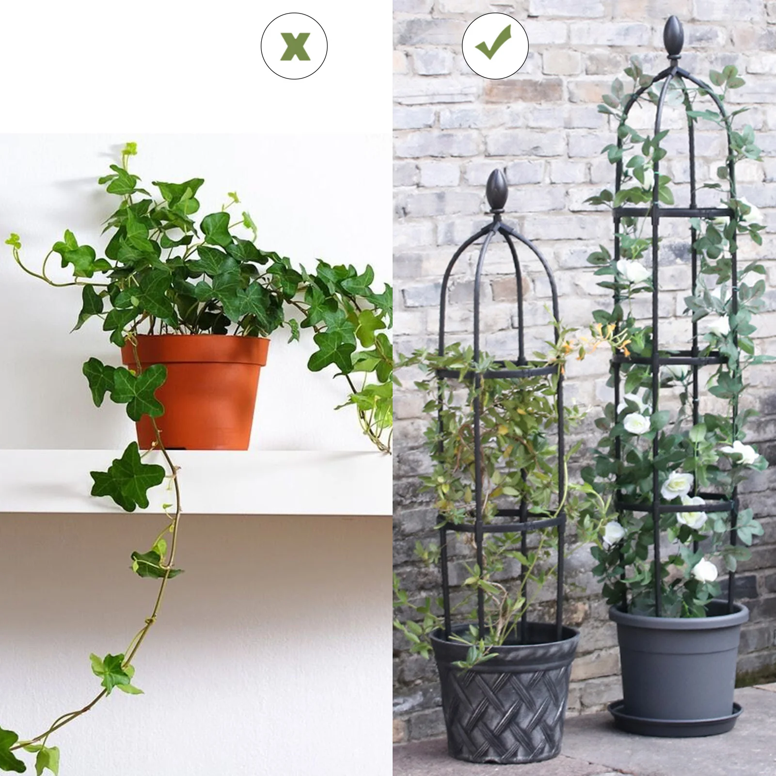 Obelisk Garden Arch Trellis Plant Support Rustproof Frame For Climbing Vines Flowers Stand Indoor Outdoor Floral Decor
Obelisk Garden Arch Trellis Plant Support Rustproof Frame For Climbing Vines Flowers Stand Indoor Outdoor Floral Decor