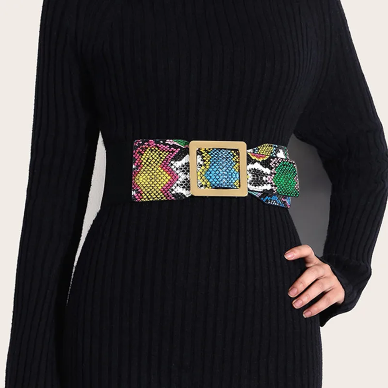 2023 Ladies Snake Print Corset Elastic Wide Waist Dress Decorative Fashion High Quality Belts for Women Luxury Designer Brand
2023 Ladies Snake Print Corset Elastic Wide Waist Dress Decorative Fashion High Quality Belts for Women Luxury Designer Brand
