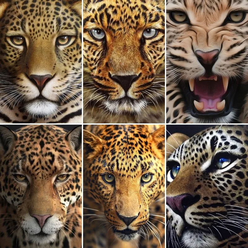 5D DIY Diamond Painting Cheetah Jaguar Leopard Close Up Full Square/Round Drill Embroidery Mosaic Realistic Wildlife Painting
5D DIY Diamond Painting Cheetah Jaguar Leopard Close Up Full Square/Round Drill Embroidery Mosaic Realistic Wildlife Painting