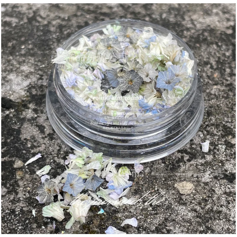 3D Nail Dried Flowers Sticker Box Real Dried Flower for Nail Art & Resin Craft DIY Five Petal Flower Leaf Gypsophila Dry Nails
3D Nail Dried Flowers Sticker Box Real Dried Flower for Nail Art & Resin Craft DIY Five Petal Flower Leaf Gypsophila Dry Nails