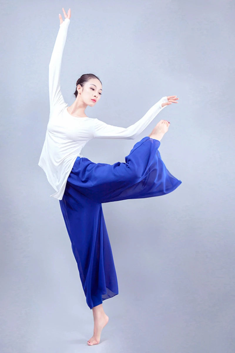 Ballet classical dance practice suit suit modern dance suit adult female elegant chiffon yoga suit
Ballet classical dance practice suit suit modern dance suit adult female elegant chiffon yoga suit